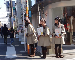 案内資料を持ち商店街に立つ学生ボランティアの写真