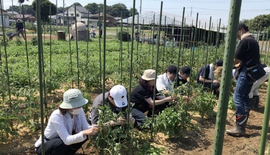 画像 障がいの理解と地域密着の取組を体験する 農場就労体験実習