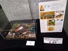 画像　障害のある社員が制作したアート作品の展示